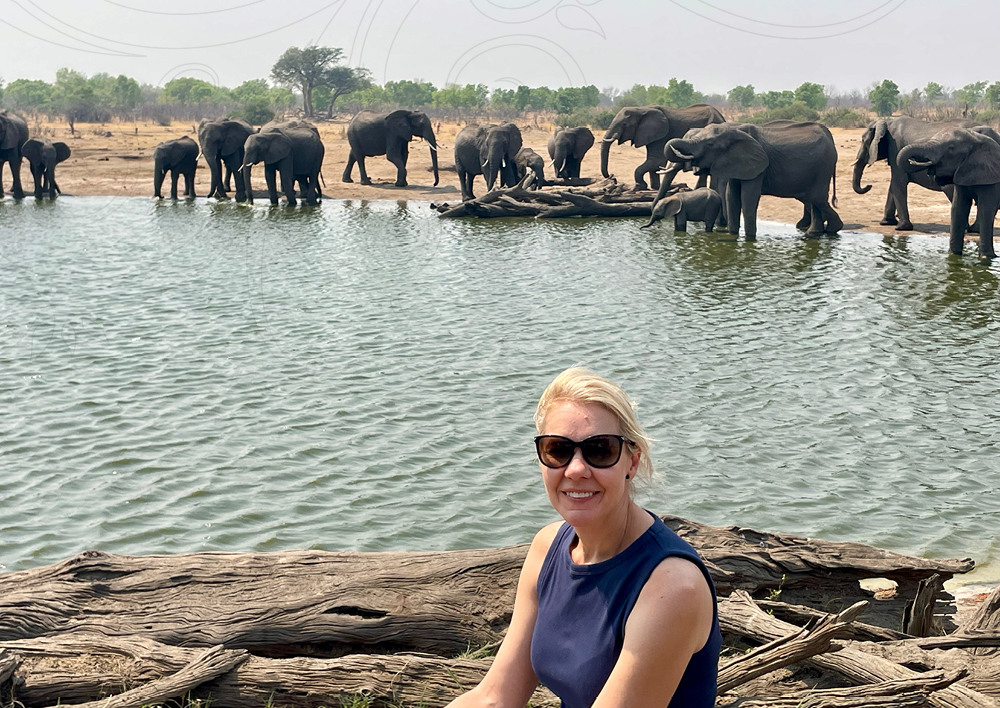 Ilze Fox at Somalisa with elephants