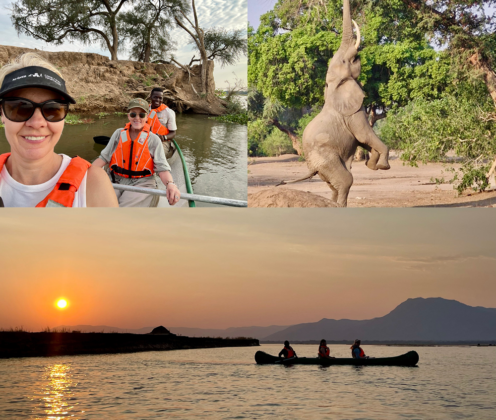 Collage of Ilze Fox at Mana Pools canoeing on Zambezi River with elephant