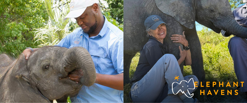 Young rescued elephant with its keeper and Liesl Matthews visiting Elephant Havens elephant orphanage in Botswana.