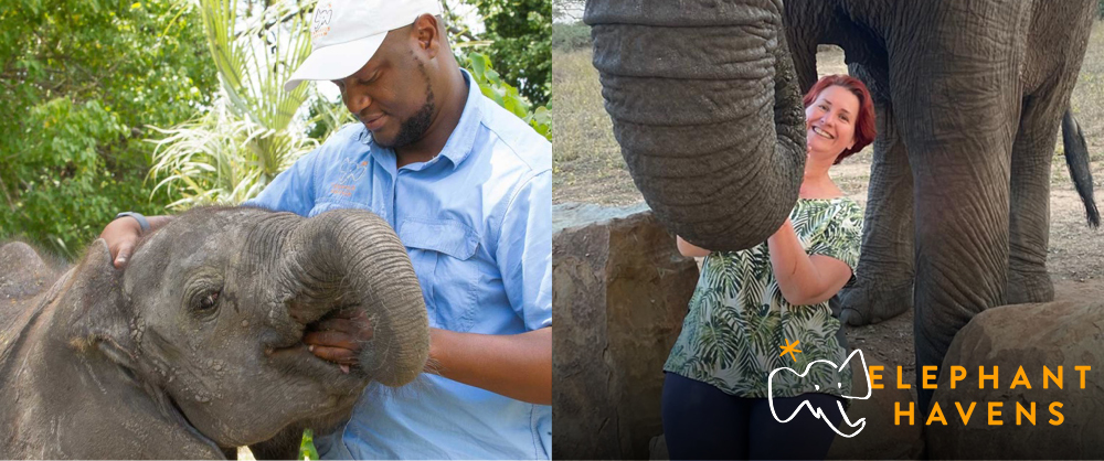 Young rescued elephant with its keeper and Liesl Matthews visiting Elephant Havens elephant orphanage in Botswana.