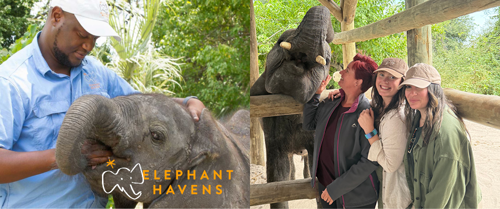 Young rescued elephant with its keeper and Liesl Matthews visiting Elephant Havens elephant orphanage in Botswana.