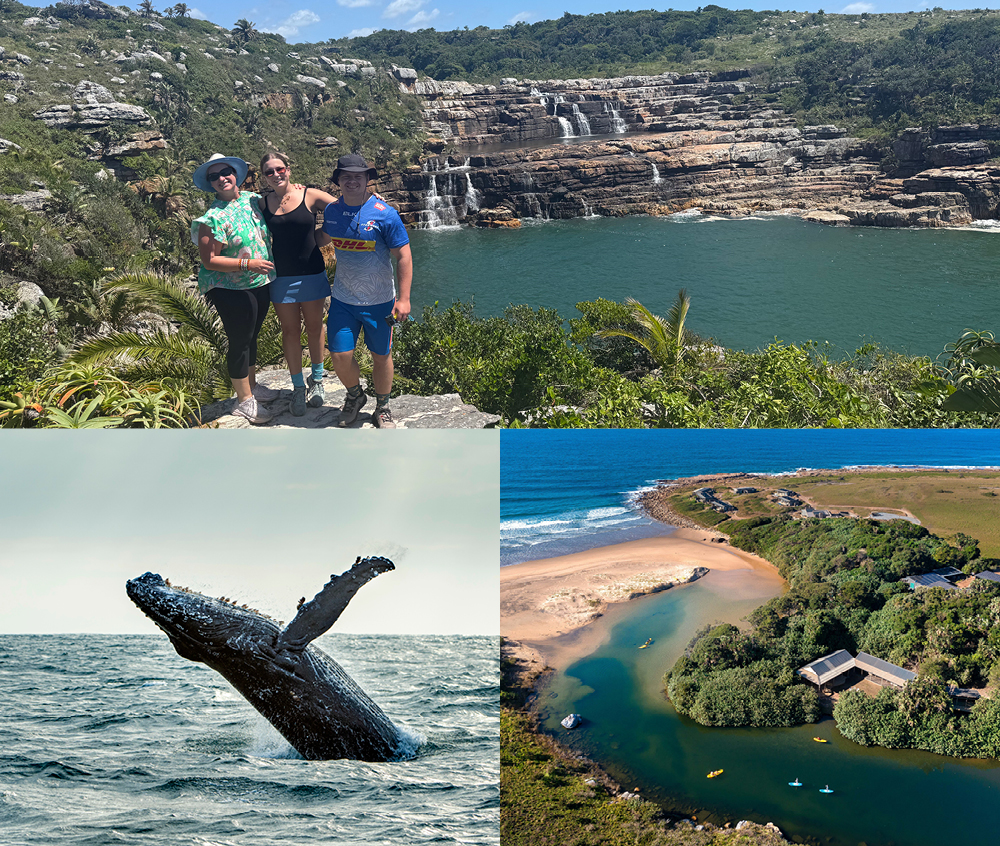 Luxury suite, whale breaching offshore and aerial view of GweGwe Beach Lodge on South Africa's Wild Coast in the Eastern Cape.