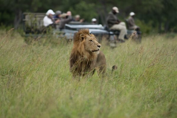 Sandringham game drive
