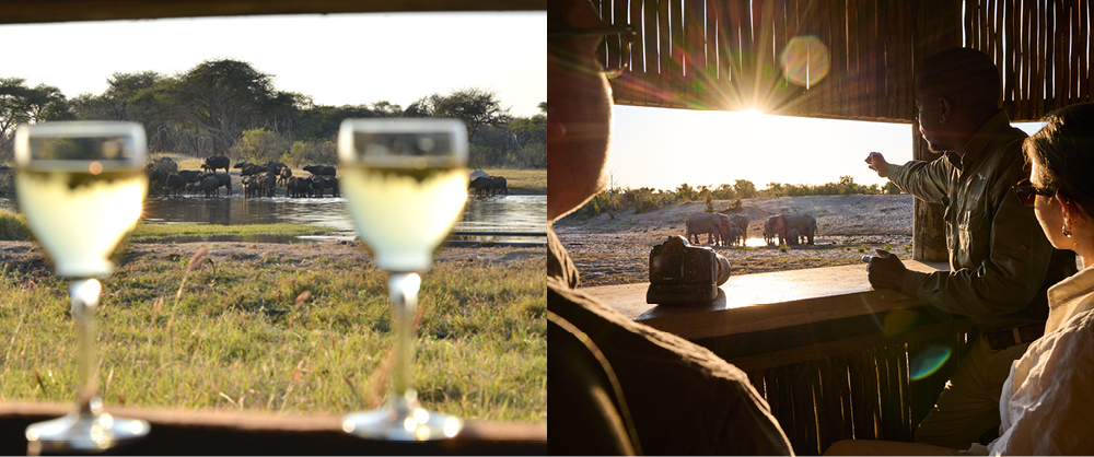 Wildlife photographers watching elephants from a safari hide overlooking a waterhole in Africa.