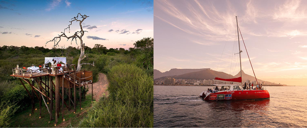 Treehouse safari stay and sunset catamaran cruise in Cape Town