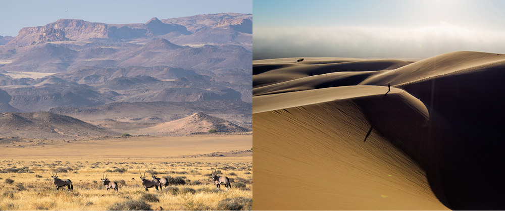 Namibia desert landscape with oryx and towering sand dunes