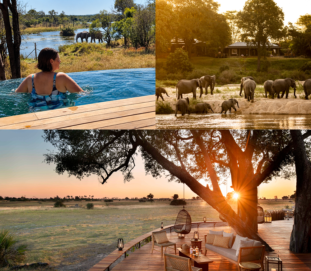 Armchair safari with elephants at waterholes viewed from luxury lodges at MalaMala, Tawana and Jamala